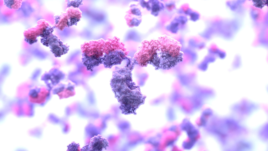 AI抗体设计突破