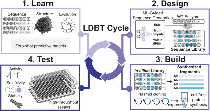 LDBT与DBTL对比示意图